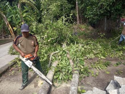 Penebangan Pohon di Dusun Nglembu